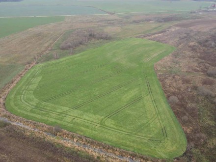 9.2041 HA ŽEMĖS SKLYPAS ŠIRVINTŲ R. SAV., BAGASLAVIŠKIS.
